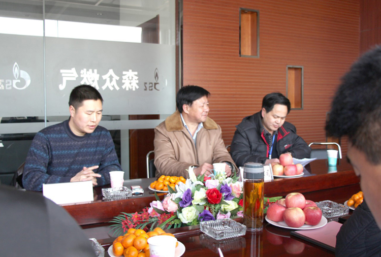 林口县政府与乐动网站-乐动(中国)燃气项目洽谈.png